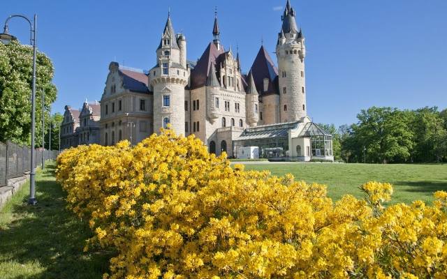 Do tych zamków i pałaców na Śląsku Opolskim można wejść. Jakie są w nich atrakcje?