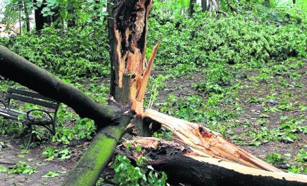 Nawałnica wyrządziła duże szkody także w kazimierskim parku miejskim. Dziesiątki drzew zostało zniszczonych przez wichurę.