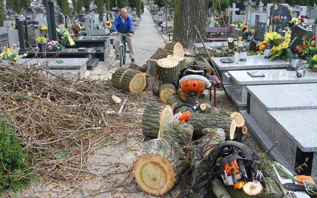 40 tysięcy kary to za mało za wycięcie drzew? Kara dla księdza spod Wolsztyna może być znacznie wyższa