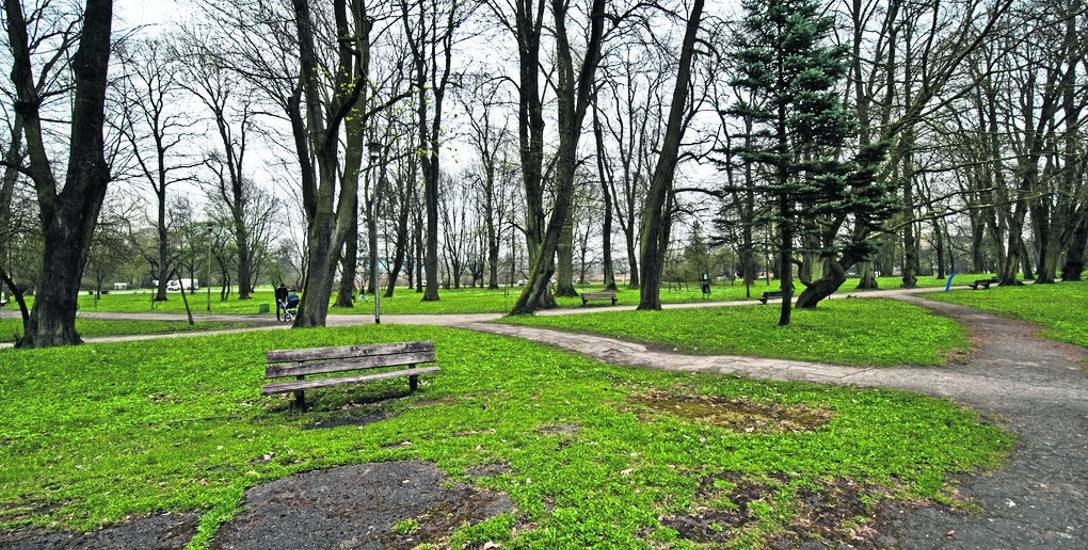 Po interwencji „Głosu”: w ramach rewitalizacji parku miasto przypomni, że był tu cmentarz   