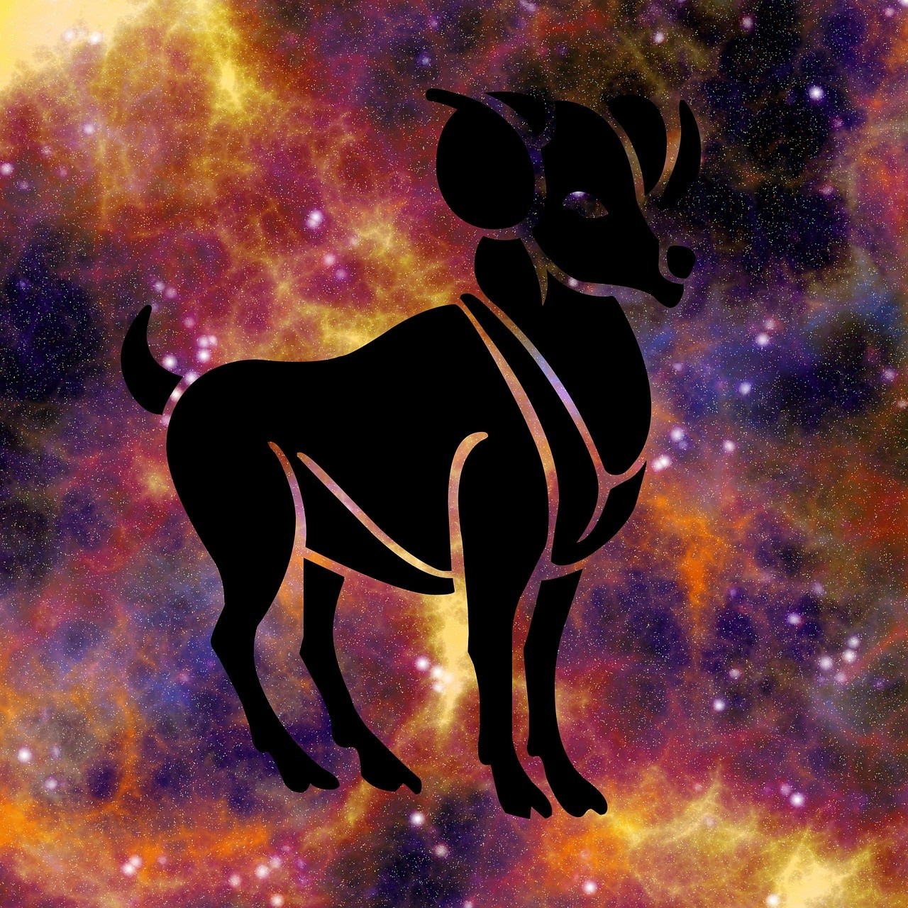 Horoskop Na Styczeń 2020 Znaki Zodiaku Szaleją W Karnawale Praca Nie Zając Co Mówi Horoskop