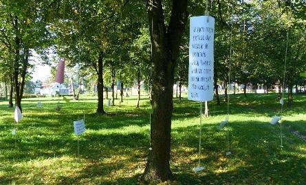 Na drzewie w miejskim parku można było przywiesić kartkę z dowolnym napisem.