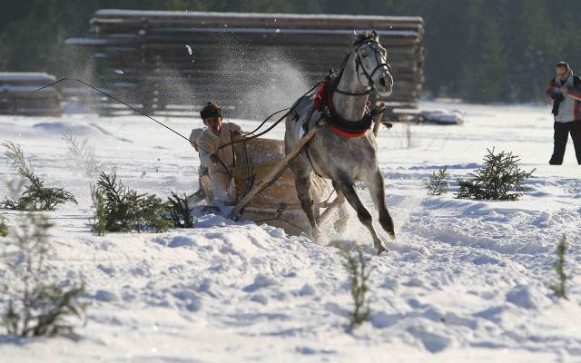 Zakopane. Góralskie wyścigi na liście dziedzictwa kulturowego [ZDJĘCIA]