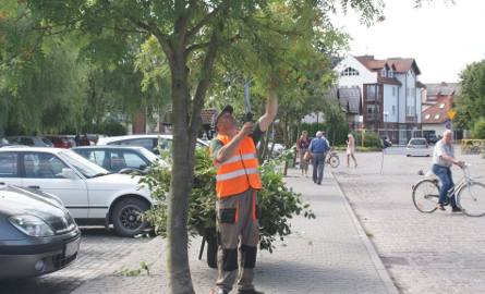Przygotowania trwają. Paweł Homa wykonywał ostatnie cięcia drzewek, które uniemożliwiały przejście pieszym. Miasto przed koncertem Lata z Radiem sprząta