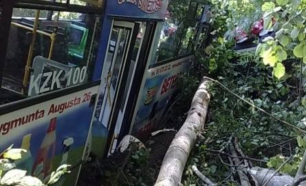 O włos od tragedii! Autobus zjechał na pobocze i wbił się w drzewa! Kierowca chciał ominąć psa (zdjęcia)