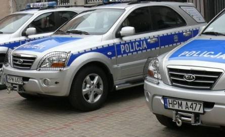 Przegląd policyjnego sprzętu można zobaczyć chociażby na ulicach miast, najczęściej radiowozy slużb prewencyjnych i ruchu drogowego.