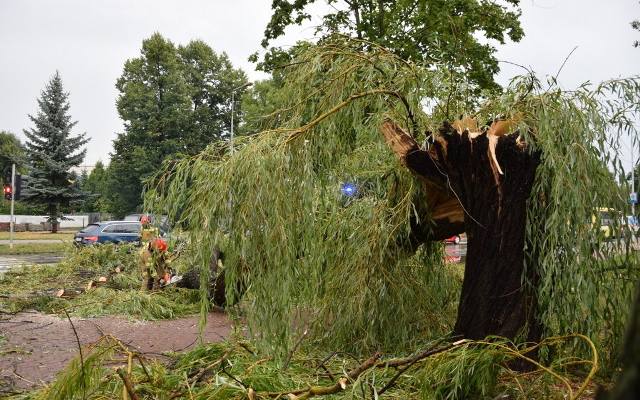 Potężna nawałnica w Tarnowie łamała drzewa i konary jak zapałki. Mnóstwo interwencji straży pożarnej. Zdjęcia