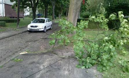 Połamane gałęzie na ulicy Stanisława Kostki w Kielcach.
