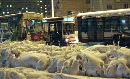 Pierwszy atak zimy spowodował drogowy paraliż. Radom, ul. Grzecznarowskiego godzina 19. Autobusy utkwiły w korku.