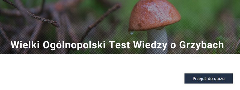 http://www.polskatimes.pl/quiz/5854,jestes_gotowy_na_sezon_grzybowy_sprawdz_sie_w_wielkim_ogolnopolskim_tescie_wiedzy_o_grzybach_quiz,q,t.html