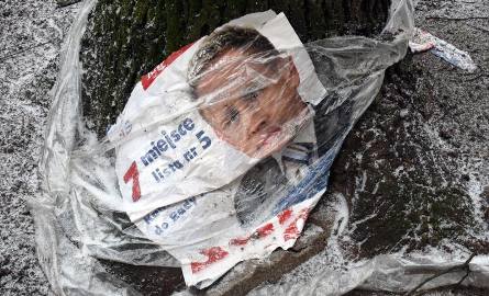 Na jednym z drzew przy ulicy Żwirki i Wigury znajduje się zapomniany afisz Wojciecha Ścibora, który bez powodzenia ubiegał się o mandat do Rady Miej