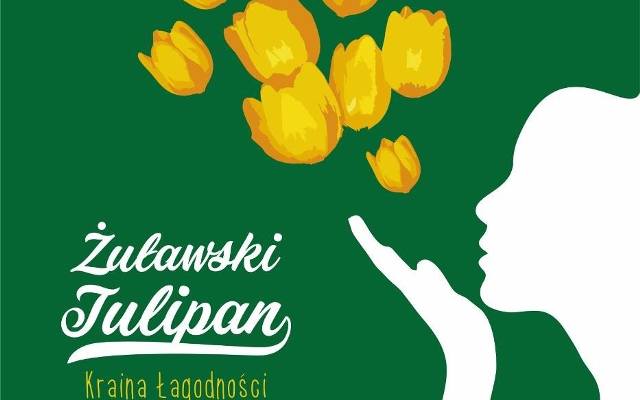 Żuławski Tulipan 2017 już w najbliższy weekend w Mokrym Dworze