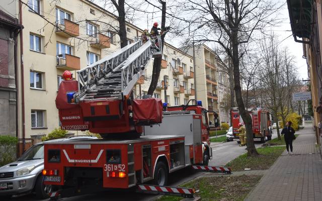 Mocno wieje w Tarnowie i regionie. Na ulicy Matejki odłamany konar drzewa omal nie wybił okna w bloku. W akcji byli strażacy!