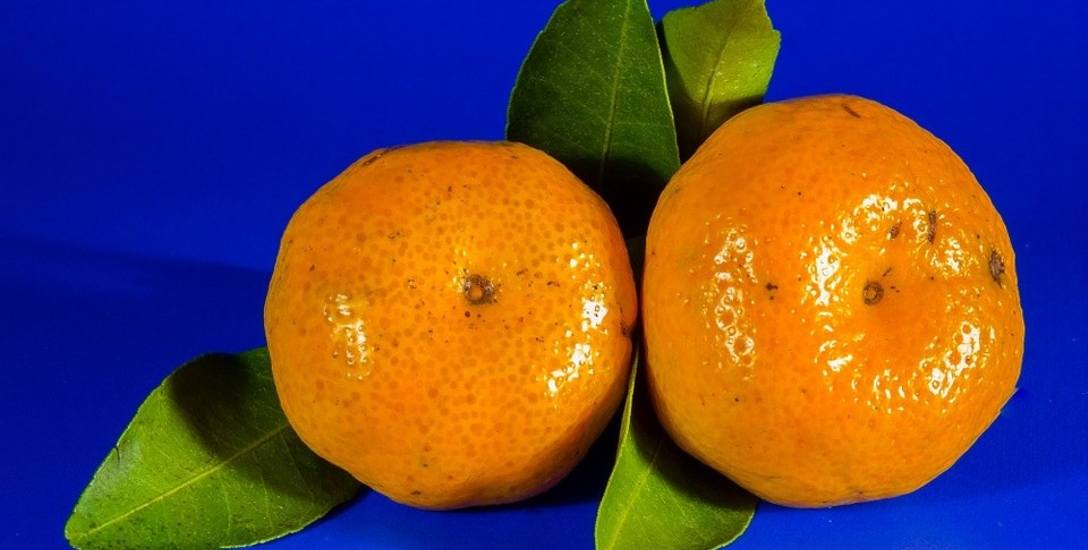 Pomarańcze z Hiszpanii były rarytasem dla białostoczan i... paskarzy