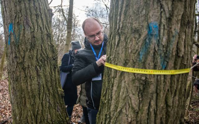 Poznań: Sprawdzano drzewa w związku z budową basenu w parku Kasprowicza. Na jaw wyszły błędy [ZDJĘCIA]
