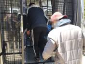 Zdjęcie do artykułu: Akcja straży granicznej. Chcieli grać w piłkę nożną na Podhalu, ale muszą wrócić do Brazylii