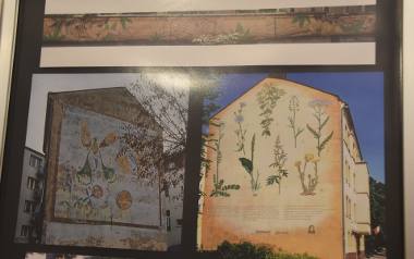 "Pszczółka" (na zdjęciu: z lewej) to mural, który jest w centrum miasta. Wielu gorzowian nie zna go, bo obraz jest na uboczu.