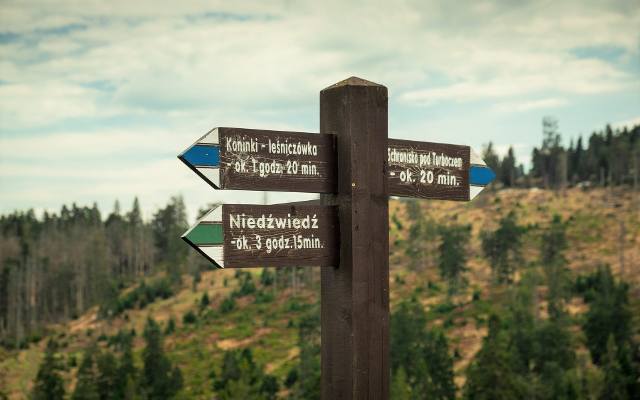 Wybierasz się na wycieczkę w góry? Sprawdź koniecznie, jak czytać oznaczenia szlaków. Co oznaczają poszczególne kolory?