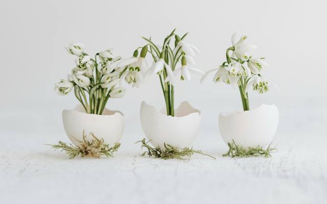 Wiosenne kwiaty – piękne ozdoby wielkanocne. Dekoracja na świąteczny stół na Wielkanoc. Stroiki wielkanocne z kwiatów – galeria zdjęć