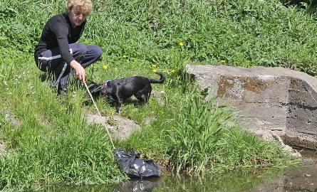 Elżbieta Aleksandrowicz w tym miejscu kanału Trynki wyłowiła czarny worek z trzema kilkudniowymi kotkami. W środku plasikowej torebki była też butelka