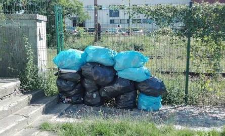 Stosy śmieci można znaleźć także w innych miejscach starówki - tu przy Dworcu Toruń Miasto