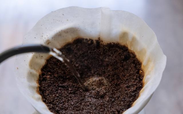 Z fusów kawy lepiej zrób peeling, niekoniecznie stosuj w ogrodzie. Obalamy mity na temat kawowych resztek