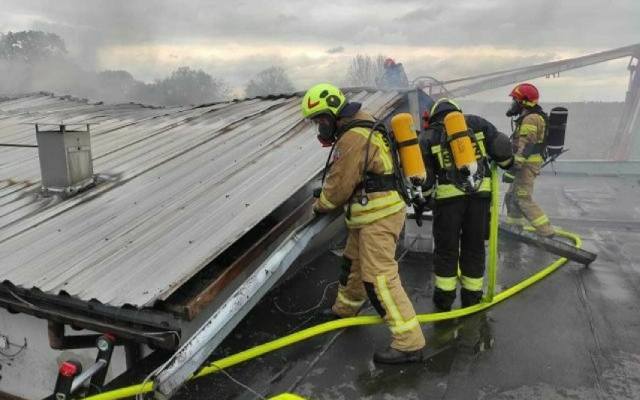 Pożar zakładu produkcyjnego w Morawinie. Na miejsce wysłano 11 zastępów straży. Zobacz zdjęcia