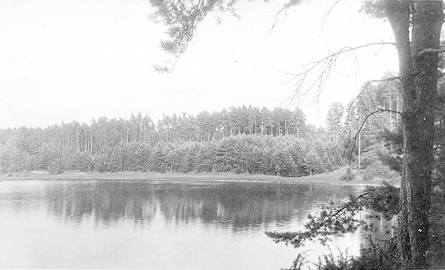 Zdjęcie z lat powojennych jez. Żabie Oczko. Niewielki zbiornik wodny jest obecnie częścią malowniczej trasy turystycznej z lasami sosnowymi i świerkowymi,