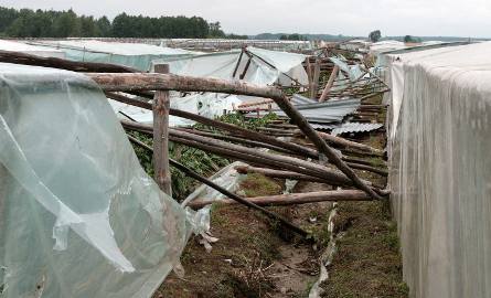 Takie zniszczenia poczyniła trąba powietrzna w tunelach rodziny Pankowskich ze wsi Śliwiny.