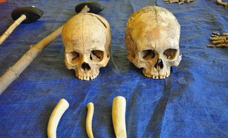 Jedna z tych czaszek pochodzi z pochówku najprawdopodobniej o charakterze antywampirycznym, druga należała do 14-letniej dziewczyny.