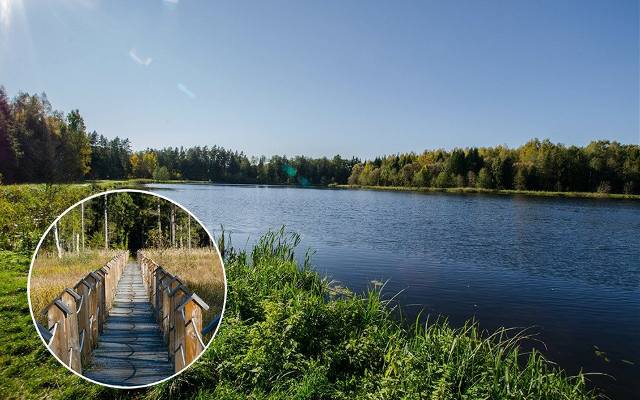 Szybki weekendowy wypad za miasto z rodziną lub solo? Zbiornik Wyżary w Puszczy Knyszyńskiej na wyciągnięcie ręki. Warto tam się wybrać!