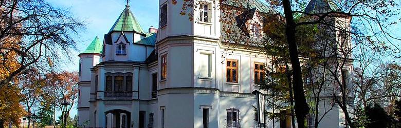 Pałac w Krzyżanowicach współcześnie. Niegdyś siedziba rodu Lichnowskich, obecnie dom opieki prowadzony przez siostry ze zgromadzenia franciszkanek.