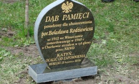 Uczniowie Szkoły Podstawowej w Bebelnie również zasadzili Dąb Pamięci dla uhonorowania porucznika Bolesława Rodziewicza, urodzonego w 1912 roku we Włoszczowie,