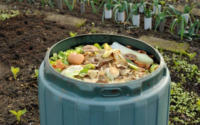 Kompostujesz lub dopiero myślisz o założeniu kompostownika? Oto 21 rzeczy, które powinieneś zacząć dodawać do kompostu