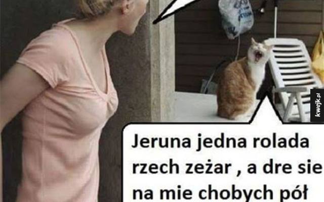 Jeruna, te śląskie memy są richtig fajne. Bo Śląsk jest sexy