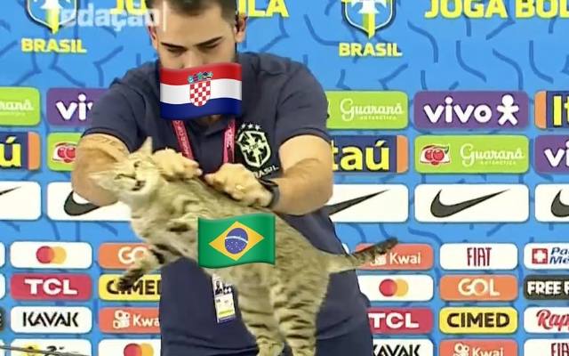 Mundial w Katarze: Brazylia wraca do domu! MEMY Zemsta kota. Internauci bez litości dla wielkiego faworyta mundialu