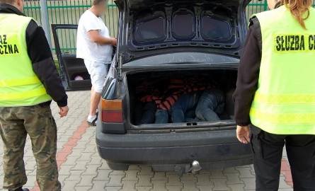 Droga Krajowa 61. 4 nielegalnych imigrantów podróżowało w bagażniku volkswagena