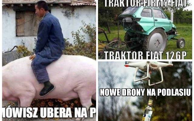 Znowu się śmieją! Najgłupsze memy o rolnikach. Miastowi nie mają litości. Zobacz najlepsze śmieszne obrazki 4.02.2023