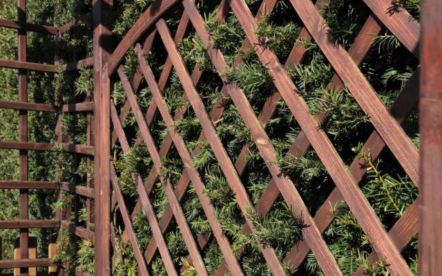 Pergola jest bardzo popularnym elementem małej architektury ogrodowej, może być wykonany z różnych materiałów. Jednak najpopularniejsze są pergole drewniane,