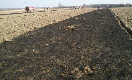 Podczas tegorocznego wypalania traw mocno ucierpiało lotnisko w Piastowie. Spłonęło tam kilkadziesiąt hektarów.