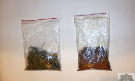 W torbach znalezionych u 26-latka było łącznie 125 gramów suszu zidentyfikowanego wstępnie jako marihuana.