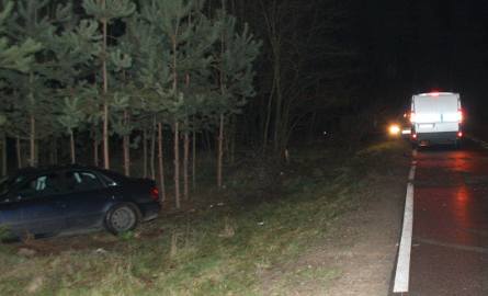 Wypadek w gminie Jastrzębia. Audi zatrzymało się na drzewach (zdjęcia)