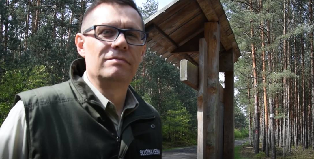 Zastępca nadleśniczego Tomasz Szwaja pokazuje Puszczę Tarnowską i miejsca odpoczynku przygotowane specjalnie dla turystów