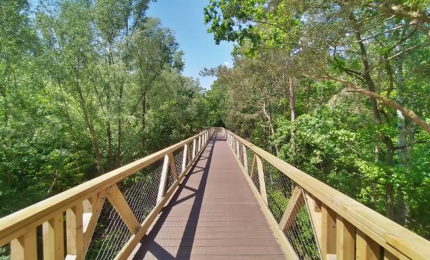 Poznańska ścieżka w koronach drzew znajduje się nieopodal Jeziora Maltańskiego i jest bezpłatna. CC BY-SA 4.0