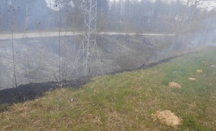 W niedzielne popołudnie strażacy gasili około 15 arów traw, które podpalił ktoś w miejscowości Wrzosówka.