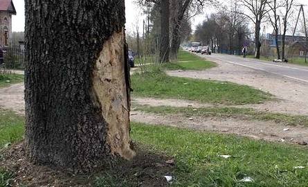Motocyklista uderzył w to drzewo. Maszynę widać w oddali, z prawej strony.