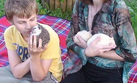 Sympatyczne, przyjacielskie jeżyki pigmejskie to maskotki całej rodziny. Na zdjęciu Sylwia Pietrzak z synem Gerardem i czwórka ich małych podopiecznych: