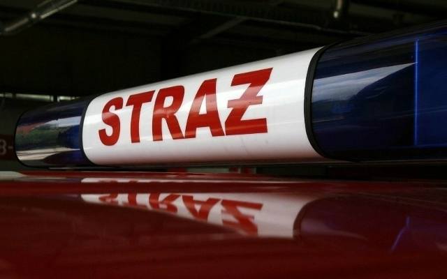 Akcja straży pożarnej nad Wartą w Poznaniu. Wyłowili z wody mężczyznę
