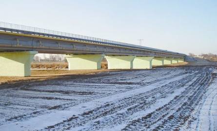 Żółtki: Przy nowym, stary most jest już za niski dla łosi