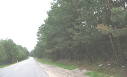 Lasy mieszkańców Małogoszcza rozciągają się niemal dookoła miasta.